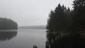Oderteich lake with Granite posts tilt rainy season Harz forest HD Footage