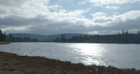 Oderteich lake landscape panning shot in beautiful green Harz mountain range Stock Footage 289285733