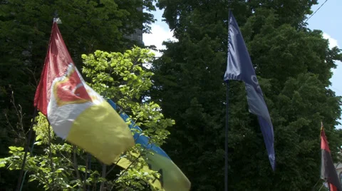 Odessa flag Stock Footage 38653423