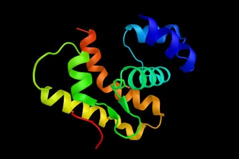 Odorant-binding protein, abundant, small, soluble and secreted in the nasal.. Stock Illustration