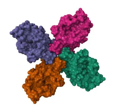 Odorant Receptor Co-Receptor Structure -  Membrane Protein Stock Illustration
