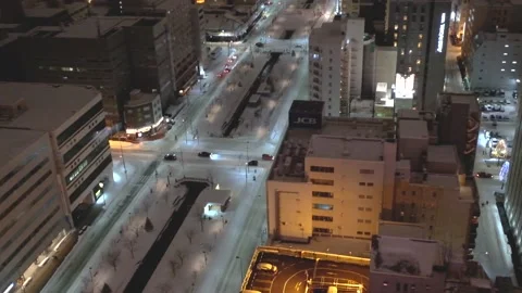 Odori park viewed from the observbation deck of sapporo TV tower, sapporo, hokka Stock Footage 151511799