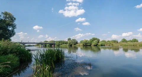 Odra river with bridge in background during summer Stock-Fotos