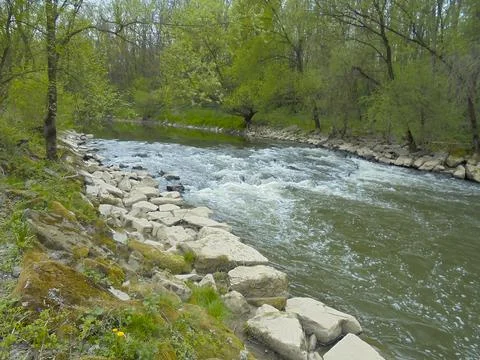 Odra river in spring forming small rapids in the forest. Stock Photos