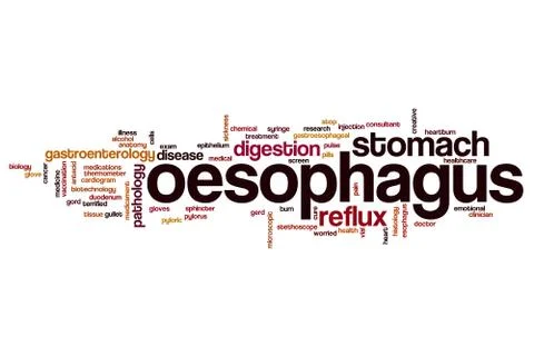 Oesophagus word cloud Stock Illustration