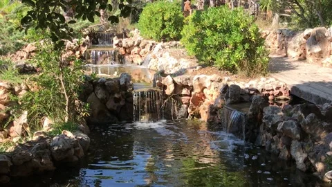 Oeste Park, Novelda Stock Footage 337165318