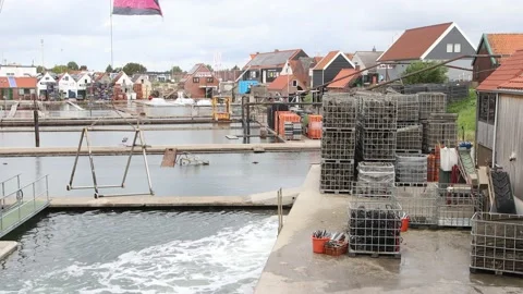 Oesterput yerseke 010 Stock Footage 140028908