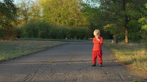 Offended little boy on the road Stock Footage 317675910