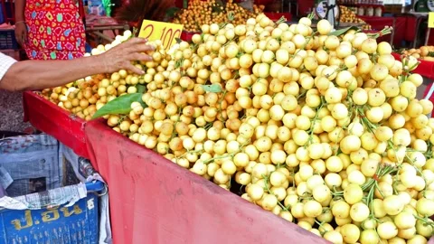 An offer of fresh fruit, the Burmese grape, at the local market Video stock 273661509