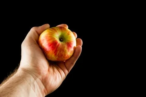 Offering an apple Stock Photos