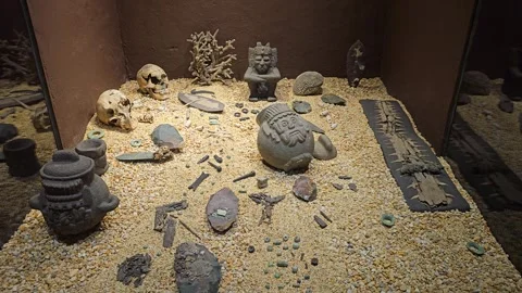 Offering Cache With Vessels, Skull and Tools in Sand Case, Templo Mayor, Mexico Video stock 340373491