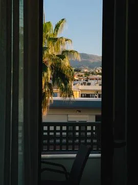 Offering a captivating view from a hotel room, a palm tree sways gently in the Stock Photos