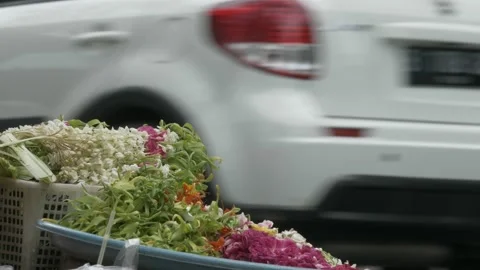 Offering flower, ready to sell and use, in the roadside 스톡 동영상 156997499