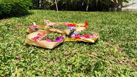 Offering flowers in Bali Foto stock