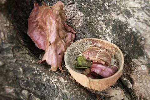 Offering Stock Photos