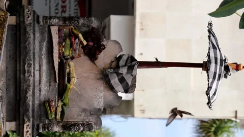 Offerings 動画素材 211108922