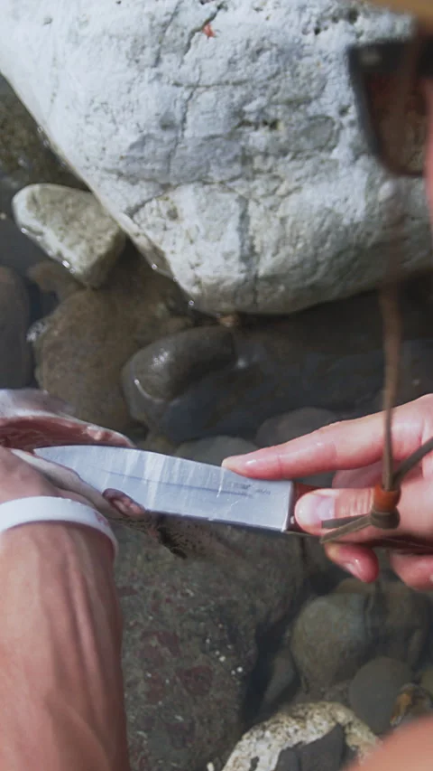 Offgrid man cleaning salmon on river in the mountains. Primitive life. A Stock Footage 272991917