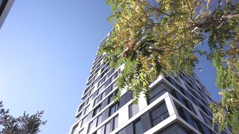 Office block bankt tower with tree Stock Footage 100149652
