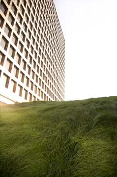 Office building and grass Stock Photos