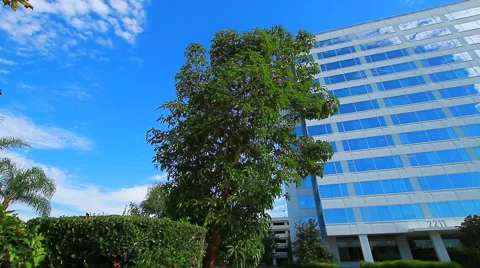Office Building Stock Footage 41478213