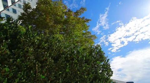 Office Building Stock Footage 41478220