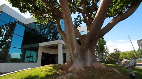 Office Building Stock Footage 41478247