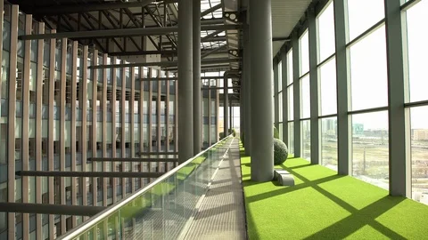Office Building Interior - Green Carpet Video stock 116337034