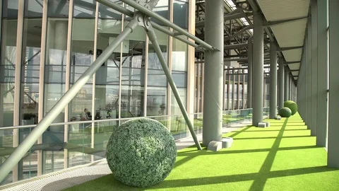Office Building Interior - Green Carpet and a Bush 스톡 동영상 116337045
