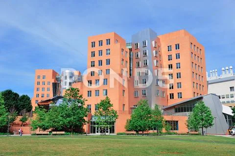 Office building in mit Stock Photos