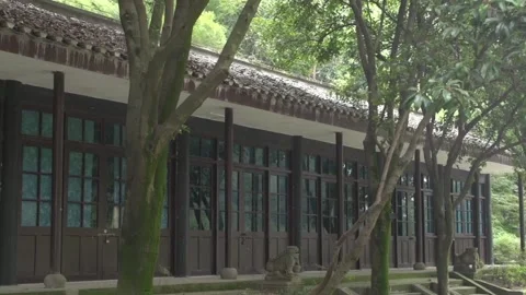 Office building next to trees Stock Footage 235135097