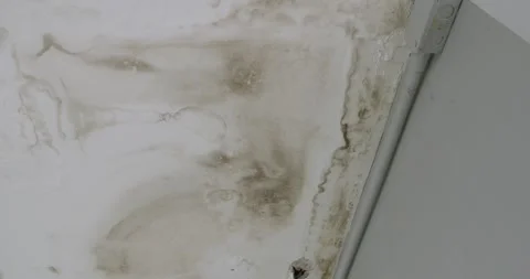 Office building or house ceiling panels problem for house service. Stock Footage 254936516