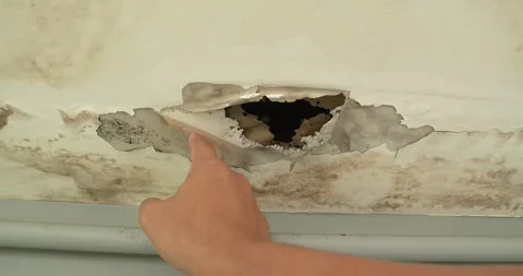 Office building or house problem for house service. Stock Footage 276766691