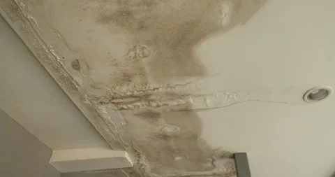 Office building or house problem for house service. Stock Footage 276840236