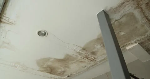 Office building or house problem for house service. Stock Footage 277498775