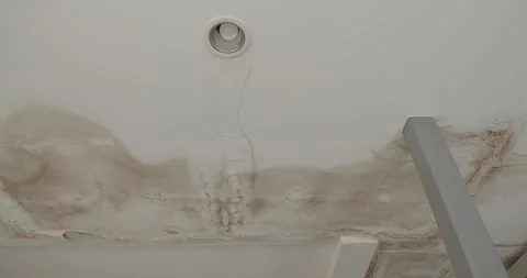 Office building or house problem for house service. Stock Footage 277871564