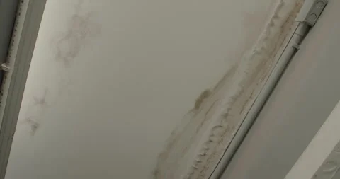 Office building or house problem for house service. Stock Footage 278048276