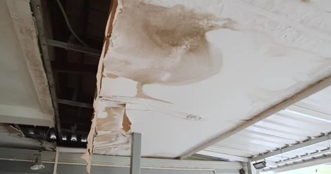 Office building or house problem for house service. Stock Footage 281264211