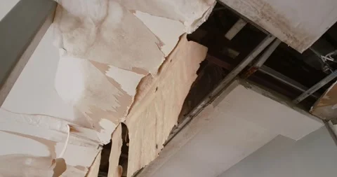 Office building or house problem for house service. Stock Footage 283000814