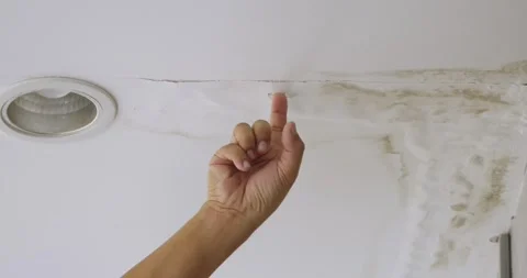 Office building or house problem for house service. Stock Footage 285590271