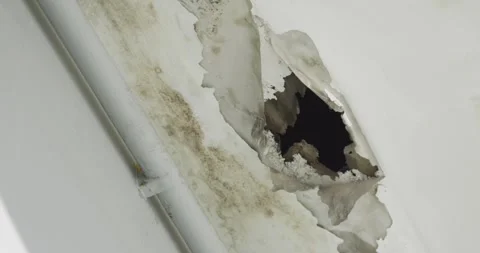 Office building or house problem for house service. Stock Footage 286184256