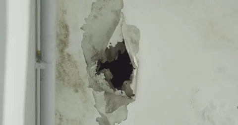 Office building or house problem for house service. Stock Footage 286799859