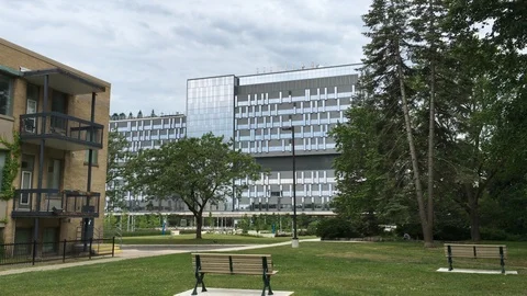 Office Building Through Park Stock Footage 90142347