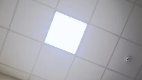 Office ceiling. Fast movement along the hospital corridor Видео 101843355