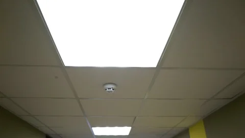 Office ceiling. Fast movement along the hospital corridor 스톡 동영상 101843725