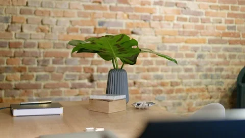 Office desk with fire place in the background Video stock 132913524