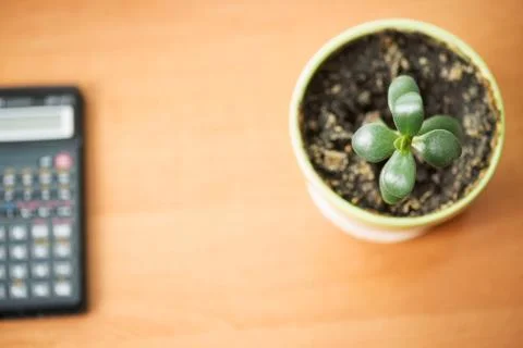 Office desk table with computer, supplies, flower Stock Photos