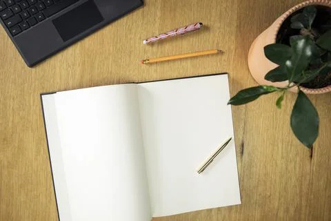 Office desk table with computer, supplies, green stylish plant and blank note Stock Photos