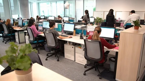 Office employees work for computers Video stock 116348356