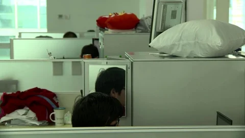 Office employees working at their stations Stock Footage 77335474