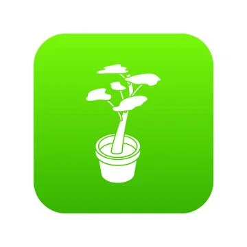 Office flower icon green vector Stock Illustration